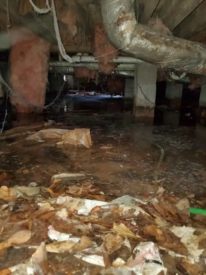 Crawl space flood assessment for Leak Detection & Repair in Horseheads