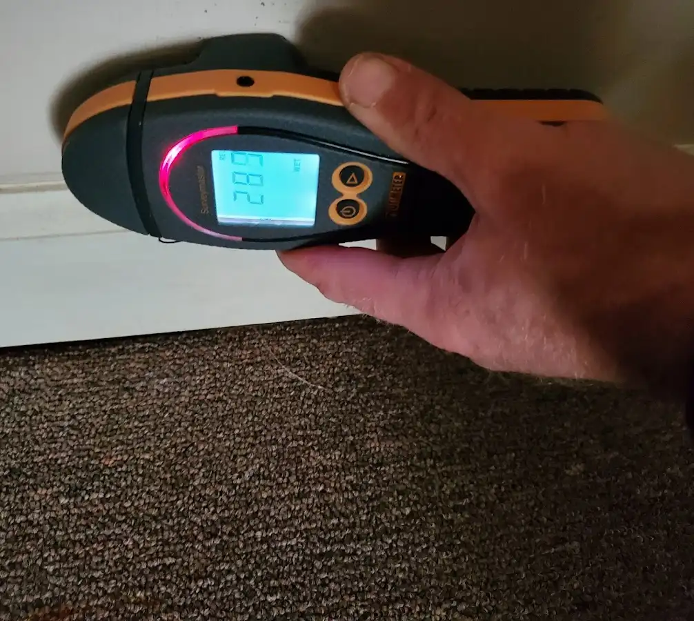 Moisture detection at baseboard during Sewage Cleanup & Sanitation in Horseheads